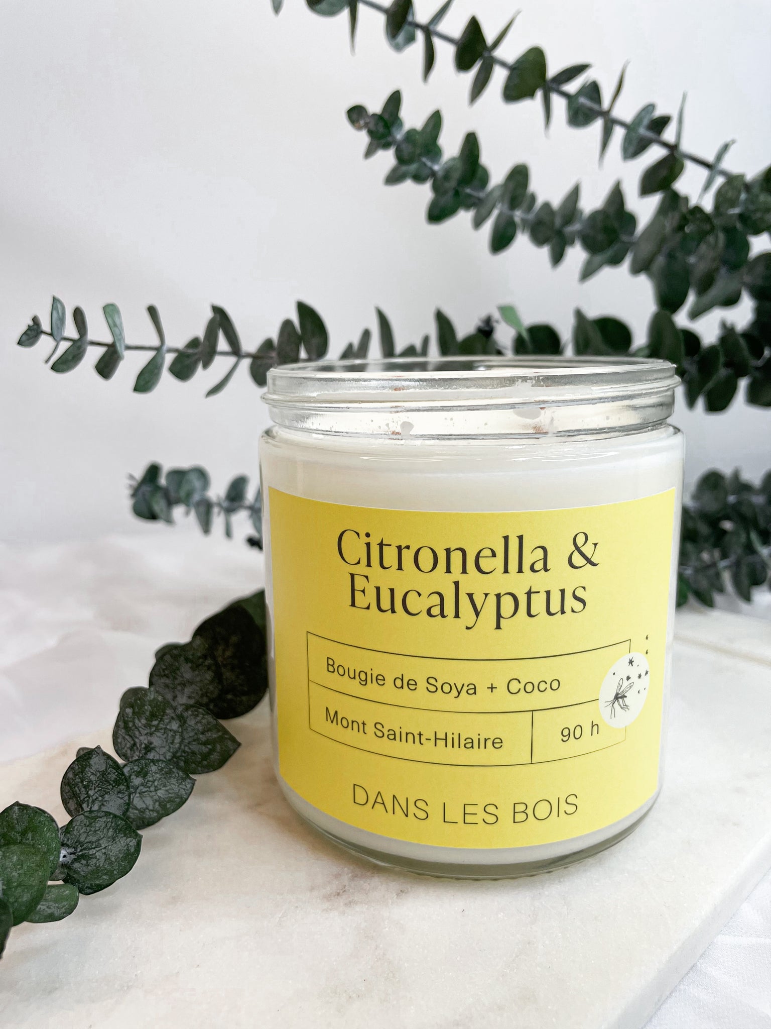 Citronnelle et Eucalyptus - 2 mèches 16oz